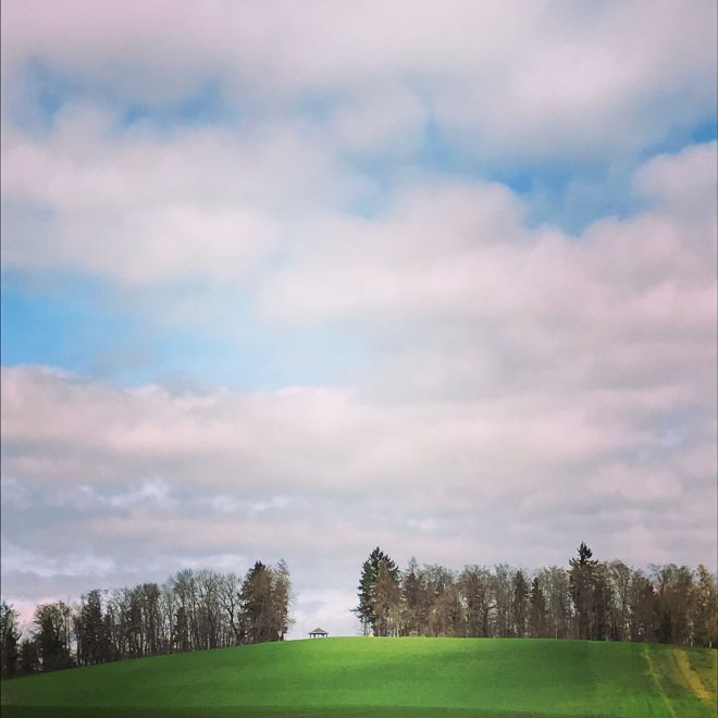 32713773054_c5a368ba76_k